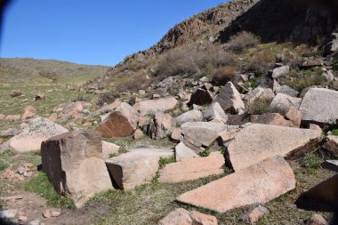 Uybat nehri yakınlarında. Hakassia.
