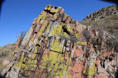 Uybat nehri yakınlarında. Hakassia.