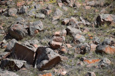 Uybat nehri yakınlarında. Hakassia.