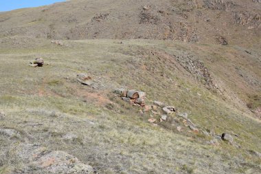 Uybat nehri yakınlarında. Hakassia.