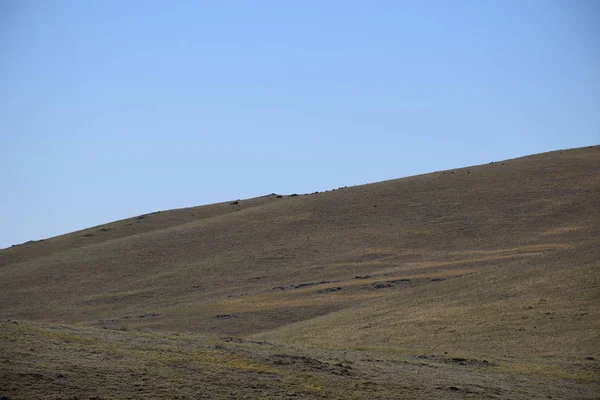 Uybat nehri yakınlarında. Hakassia.