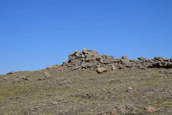 Cerca Del Río Uybat Khakassia —  Fotos de Stock