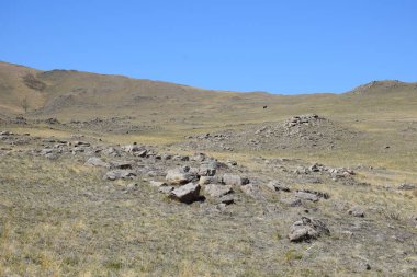 Uybat nehri yakınlarında. Hakassia.