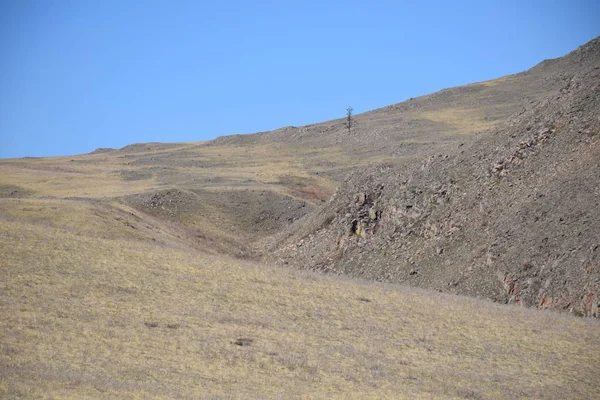 Uybat nehri yakınlarında. Hakassia.