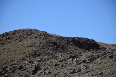 Uybat nehri yakınlarında. Hakassia.