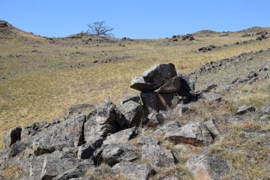 Uybat nehri yakınlarında. Hakassia.