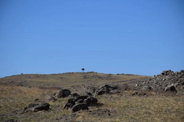 Cerca Del Río Uybat Khakassia —  Fotos de Stock