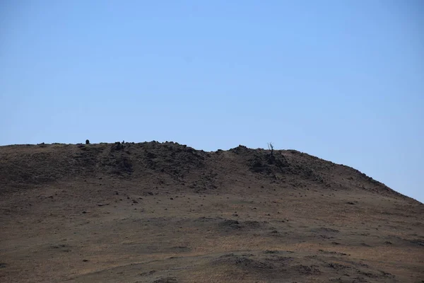 Uybat nehri yakınlarında. Hakassia.