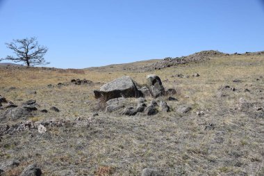 Uybat nehri yakınlarında. Hakassia.