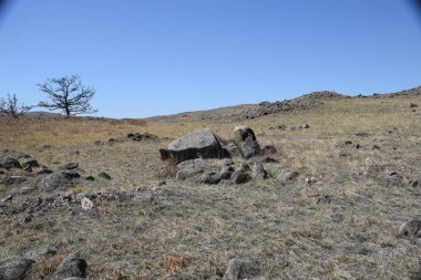 Uybat nehri yakınlarında. Hakassia.
