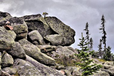 Sibirya.Sayan dağları. Ergaki.Taş şehri.