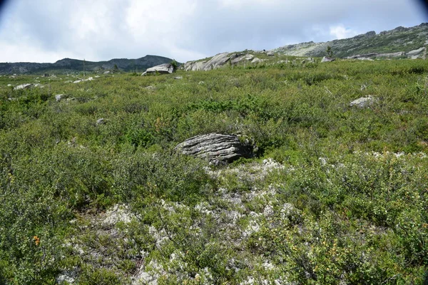 Saans Ergaki Ridge Hanging Stone Artists Pass Mountain Landscape 남부시 — 스톡 사진