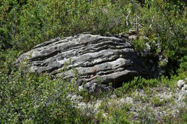 Sayanlar, Ergaki sırtı, Asılı Taş, Artistlerin dağ geçidi Güney Sibirya....