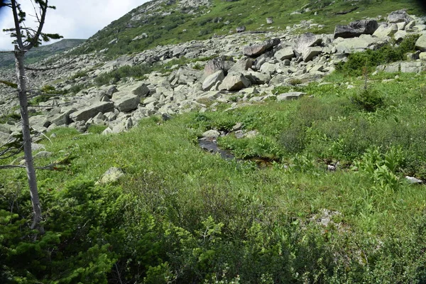 Sayans Ergaki Cume Hanging Stone Paisagem Montanha Passagem Artistas — Fotografia de Stock