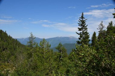 Dağ manzarası. Güney Sibirya. Sayanlar, Borus sırtı..