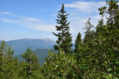 Dağ manzarası. Güney Sibirya. Sayanlar, Borus sırtı..