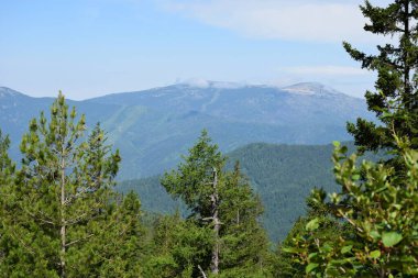 Dağ manzarası. Güney Sibirya. Sayanlar, Borus sırtı..