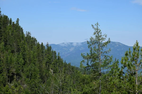 Dağ manzarası. Güney Sibirya. Sayanlar, Borus sırtı..