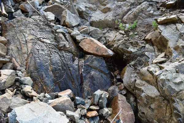 Sayans, Borus Ridge. Dağ manzarası..
