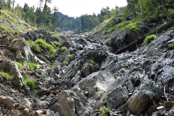 Sayans, Borus Ridge. Dağ manzarası..