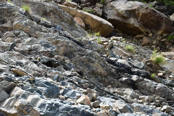 Sayans, Borus Ridge. Dağ manzarası..
