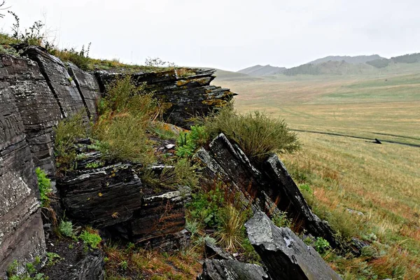 Boyarskaya Pisanita. Taşların üzerine antik çizimler. Hakassia.