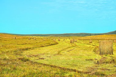 Oglahty 'de. Dağ manzarası. Hakassia. Güney Sibirya..