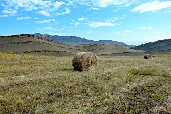 Оглахти Mount Landscape Khakassia Southern Сибір — стокове фото