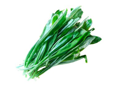 Beyaz arkaplanda taze yeşil yapraklar izole