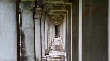 En ünlü ziyaret anıtlarından biri üzerinde büyüyen büyük ağaç kökü - Ta Prohm Tapınağı, aynı zamanda Rajaviharain veya 'Jungle Temple' olarak bilinen, doğa ve mimari arasındaki savaşı gösteren. (Angkor Wat, Unesco, Siem Reap, Kamboçya)