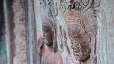 En ünlü ziyaret anıtlarından biri üzerinde büyüyen büyük ağaç kökü - Ta Prohm Tapınağı, aynı zamanda Rajaviharain veya 'Jungle Temple' olarak bilinen, doğa ve mimari arasındaki savaşı gösteren. (Angkor Wat, Unesco, Siem Reap, Kamboçya)