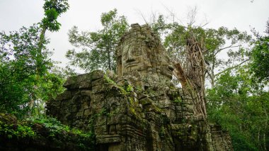 En ünlü ziyaret anıtlarından biri üzerinde büyüyen büyük ağaç kökü - Ta Prohm Tapınağı, aynı zamanda Rajaviharain veya 'Jungle Temple' olarak bilinen, doğa ve mimari arasındaki savaşı gösteren. (Angkor Wat, Unesco, Siem Reap, Kamboçya)
