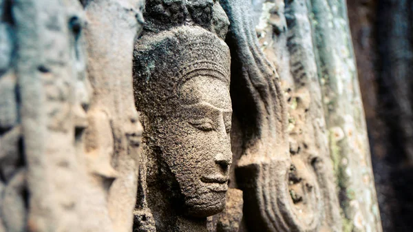 Raiz Árvore Maciça Crescendo Dos Monumentos Mais Visitados Prohm Temple — Fotografia de Stock