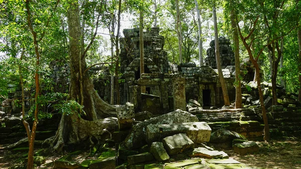 巨大的树根生长在最著名的古迹之一 塔普罗姆寺 也被称为拉贾维哈拉因或 Jungle寺 显示自然和建筑之间的战斗 吴哥窟 联合国教科文组织 柬埔寨 — 图库照片