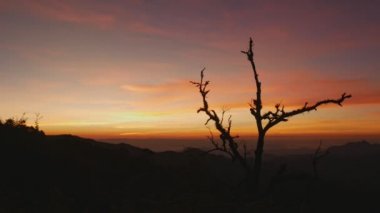 Güzel Sunrise yaz günü doğa arka plan, renkli hava.