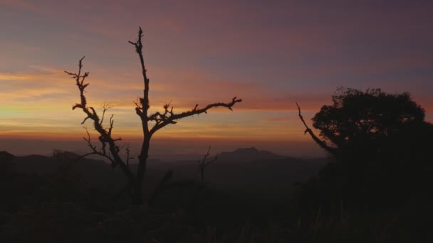 Belo Nascer Sol Verão Dia Natureza Fundo Tempo Colorido — Vídeo de Stock