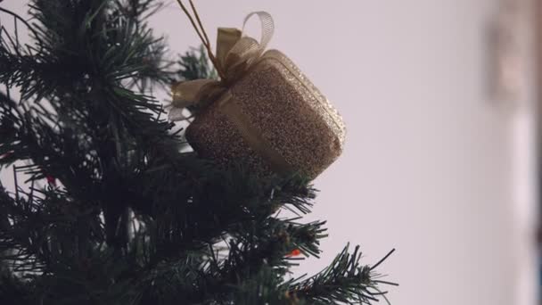 Golden Box Christmas Ornament Hanging Dry Tree Branch Handheld Shooting — Stock Video