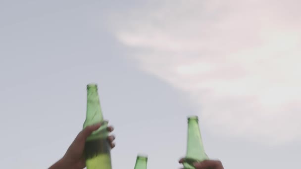 Doğada Kamp Yapan Bira Içip Kadeh Tokuşturarak Eğlenen Bir Grup — Stok video