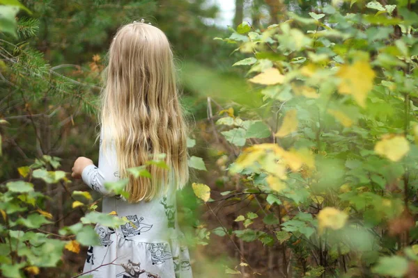 Маленькая Девочка Длинными Вьющимися Волосами Стоящая Пышном Осеннем Лесу Желтыми — стоковое фото