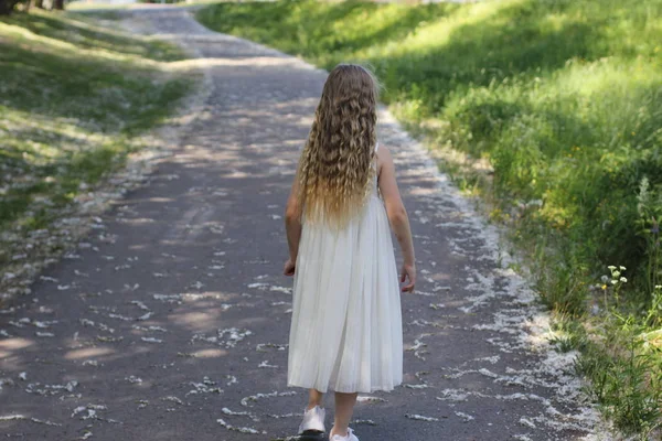 Маленькая Девочка Идет Тропинке Летом — стоковое фото