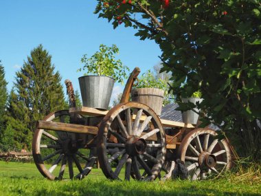Yazın bahçede eski model bir araba. Arabadaki kovalarda domates bitkileri. Çiftlik hayatı..