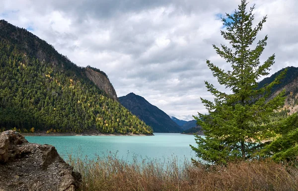 Turquoise mountain Carpenter lake in autumn. Mountains with coniferous forest around the lake. Autumn forest landscape. BC, Canada
