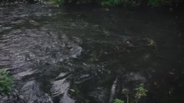 Küçük bir nehirde fırtınalı dalgalar