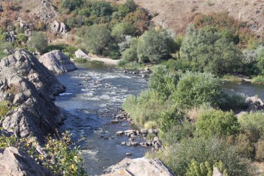 yeşil ağaçlar arasında dağ nehri görünümü