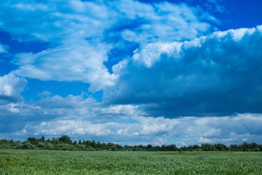 Kırsal bir bölgenin yüksek çözünürlüklü fotoğrafı.