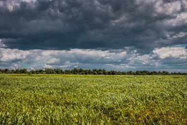 Kırsal bir bölgenin yüksek çözünürlüklü fotoğrafı.