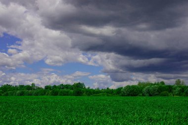 Kırsal bir bölgenin yüksek çözünürlüklü fotoğrafı.