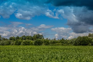 Kırsal bir bölgenin yüksek çözünürlüklü fotoğrafı.