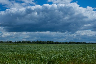 Kırsal bir bölgenin yüksek çözünürlüklü fotoğrafı.