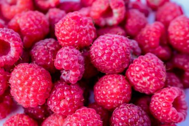 Ahududu meyvesi, olgun, yeşil yapraklı bir dalda kırmızı, yaz günü bahçede ya da ormanda. Sulu ahududuların arka planı.